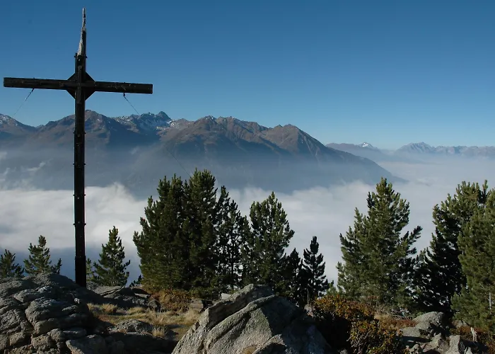 Pfausler オエッツ