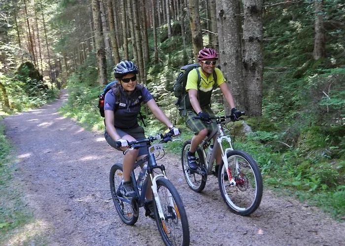 Pfausler オエッツ