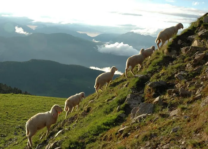 アパート Pfausler オエッツ