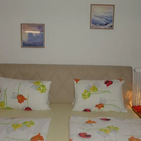 Apartament Pfausler *